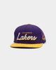 Mitchell & Ness Los Angeles Lakers Lux Carp Script Snapback Purple/ Yellow