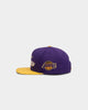 Mitchell & Ness Los Angeles Lakers Lux Carp Script Snapback Purple/ Yellow