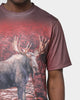 Wildkind Bull Moose Tee Multi-Coloured