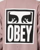 Obey Eyes Icon 2 LS T-shirt Gallnut