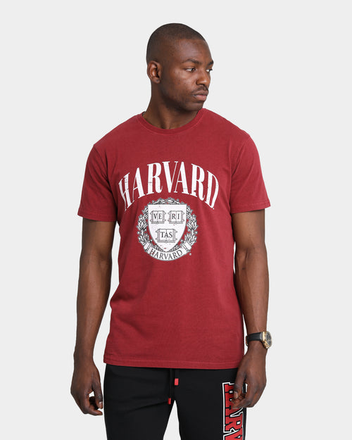 NCAA Harvard Abril Arch T-Shirt Blood Stone
