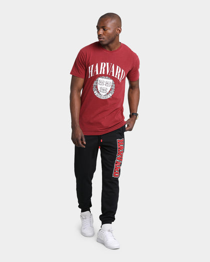 NCAA Harvard Abril Arch T-Shirt Blood Stone