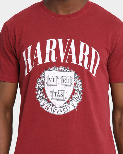 NCAA Harvard Abril Arch T-Shirt Blood Stone