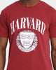 NCAA Harvard Abril Arch T-Shirt Blood Stone