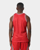 Mitchell & Ness Chicago Bulls Blown Out Jersey Red