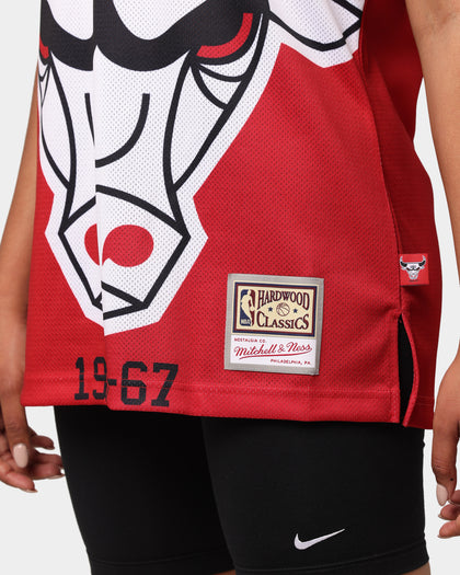 Mitchell & Ness Chicago Bulls Blown Out Jersey Red
