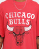 Mitchell & Ness Chicago Bulls Oversized TM CLR Logo T-shirt Faded Red