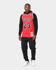 Mitchell & Ness Chicago Bulls Michael Jordan '95-'96 #23 Finals Authentic Jersey Red