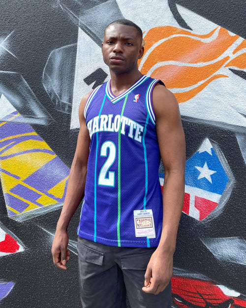 Mitchell & Ness Charlotte Hornets Larry Johnson #2 '94-'95 Swingman Jersey Purple