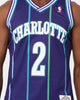 Mitchell & Ness Charlotte Hornets Larry Johnson #2 '94-'95 Swingman Jersey Purple