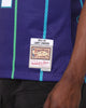 Mitchell & Ness Charlotte Hornets Larry Johnson #2 '94-'95 Swingman Jersey Purple