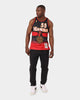 Mitchell & Ness Atlanta Hawks Dikembe Mutombo #55 '96-'97 Swingman Jersey Scarlet