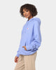 Champion Rev Weave Terry Hoodie Charming Blue