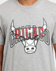 New Era Chicago Bulls Script T-Shirt Heather Grey
