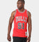 Mitchell & Ness Chicago Bulls Dennis Rodman '97-'98 #91 75th Anniversary Diamond Jubilee Swingman Jersey Red