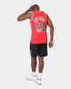 Mitchell & Ness Chicago Bulls Dennis Rodman '97-'98 #91 75th Anniversary Diamond Jubilee Swingman Jersey Red