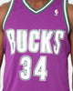 Mitchell & Ness Milwaukee Bucks Ray Allen #34 '00-'01 Swingman Jersey Purple
