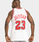 Mitchell & Ness Chicago Bulls Michael Jordan '91-'92 #23 Home Game Authentic Jersey White