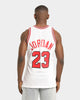 Mitchell & Ness Chicago Bulls Michael Jordan '91-'92 #23 Home Game Authentic Jersey White