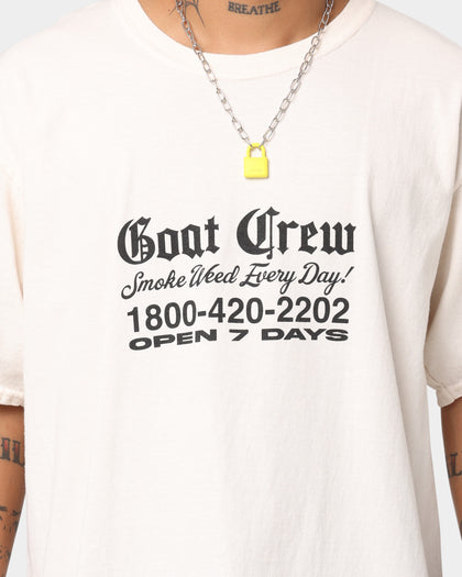 Goat Crew Chemist Vintage T-Shirt Off White