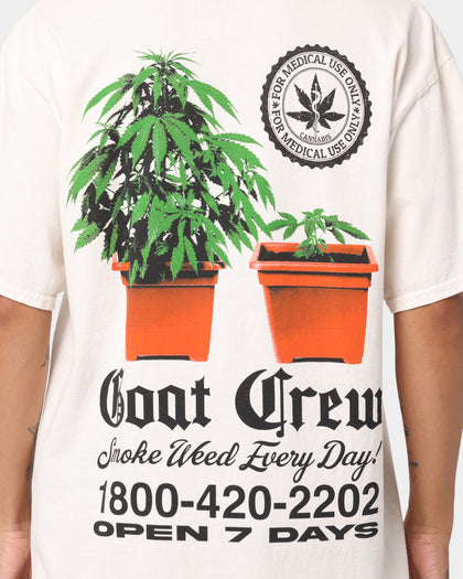 Goat Crew Chemist Vintage T-Shirt Off White