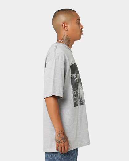 Mitchell & Ness Chicago Bulls Rodman Basketball Photo T-Shirt Grey Marle