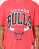 Mitchell & Ness Chicago Bulls XL Arch Vintage T-Shirt Faded Red