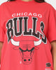 Mitchell & Ness Chicago Bulls XL Arch Vintage T-Shirt Faded Red