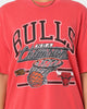 Mitchell & Ness Chicago Bulls Hoop T-Shirt Faded Red