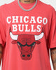 Mitchell & Ness Finals Chicago Bulls Finals Vintage T-Shirt Faded Red