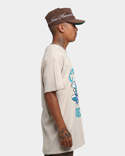 Mitchell & Ness Charlotte Hornets Sandstone Team Logo T-Shirt Stone