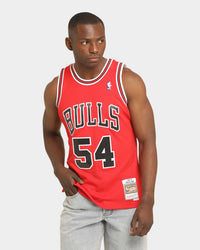 Mitchell & Ness Chicago Bulls Horace Grant #54 '90-'91 Swingman Jersey Red