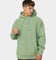 Champion Reverse Weave Garm Dye Hoodie Native Fern Green