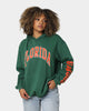 National Collegiate Athletic Association Florida Gators Puff Print Hoodie Kelly Green