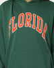 National Collegiate Athletic Association Florida Gators Puff Print Hoodie Kelly Green