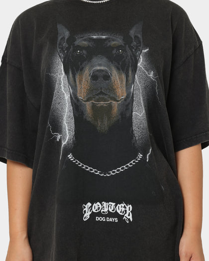 Loiter Dog Days T-Shirt Black Wash