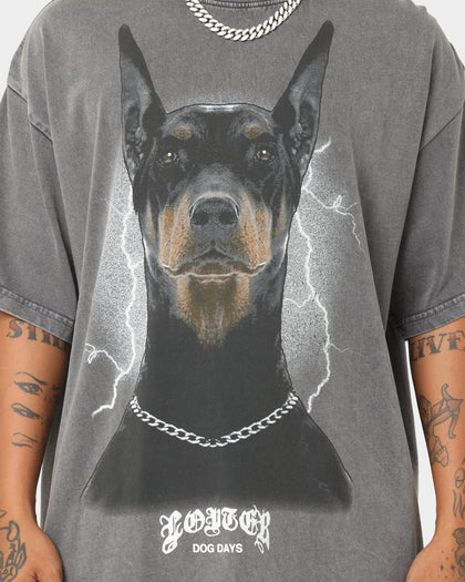 Loiter Dog Days T-Shirt Charcoal