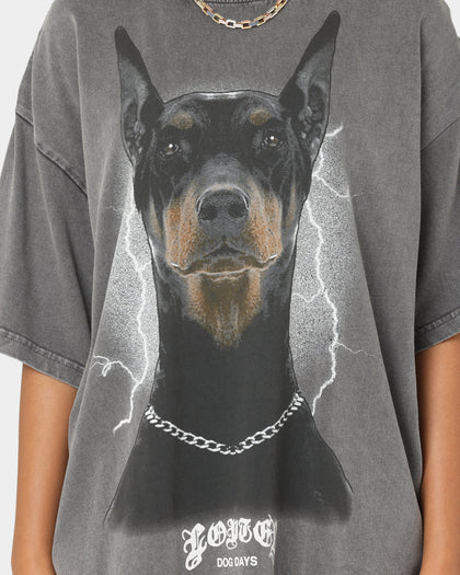 Loiter Dog Days T-Shirt Charcoal