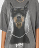 Loiter Dog Days T-Shirt Charcoal