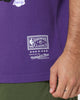 Mitchell & Ness Los Angeles Lakers Vintage Champs T-Shirt Faded Purple