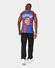 Mitchell & Ness New York Knicks Nate Robinson #4 '05-'06 Marble Swingman Jersey Blue