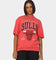 Mitchell & Ness Women's XL Arch T-Shirt Faded Red