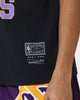Mitchell & Ness Los Angeles Lakers Team History Vintage T-Shirt Faded Black