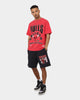 Mitchell & Ness Chicago Bulls Division Arch T-Shirt Faded Red