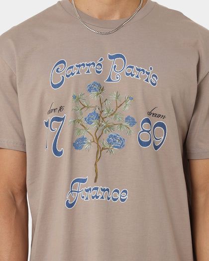 Carré Dare To Dream T-Shirt Stone/Stone