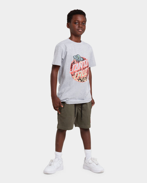 Santa Cruz Kid's Heat Seeker Shorts Sage