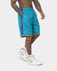 Mitchell & Ness Charlotte Hornets '99-00 Road Swing Shorts Teal