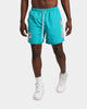 Majestic Athletic Miami Dolphins Chrome Font Beach Shorts Teal