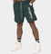Saint Morta Scripted Beach Shorts Stadium Green
