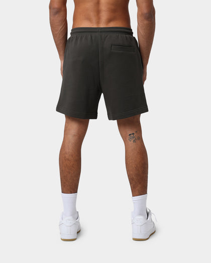 National Collegiate Athletic Association Harvard University Multi Hit Shorts Steel